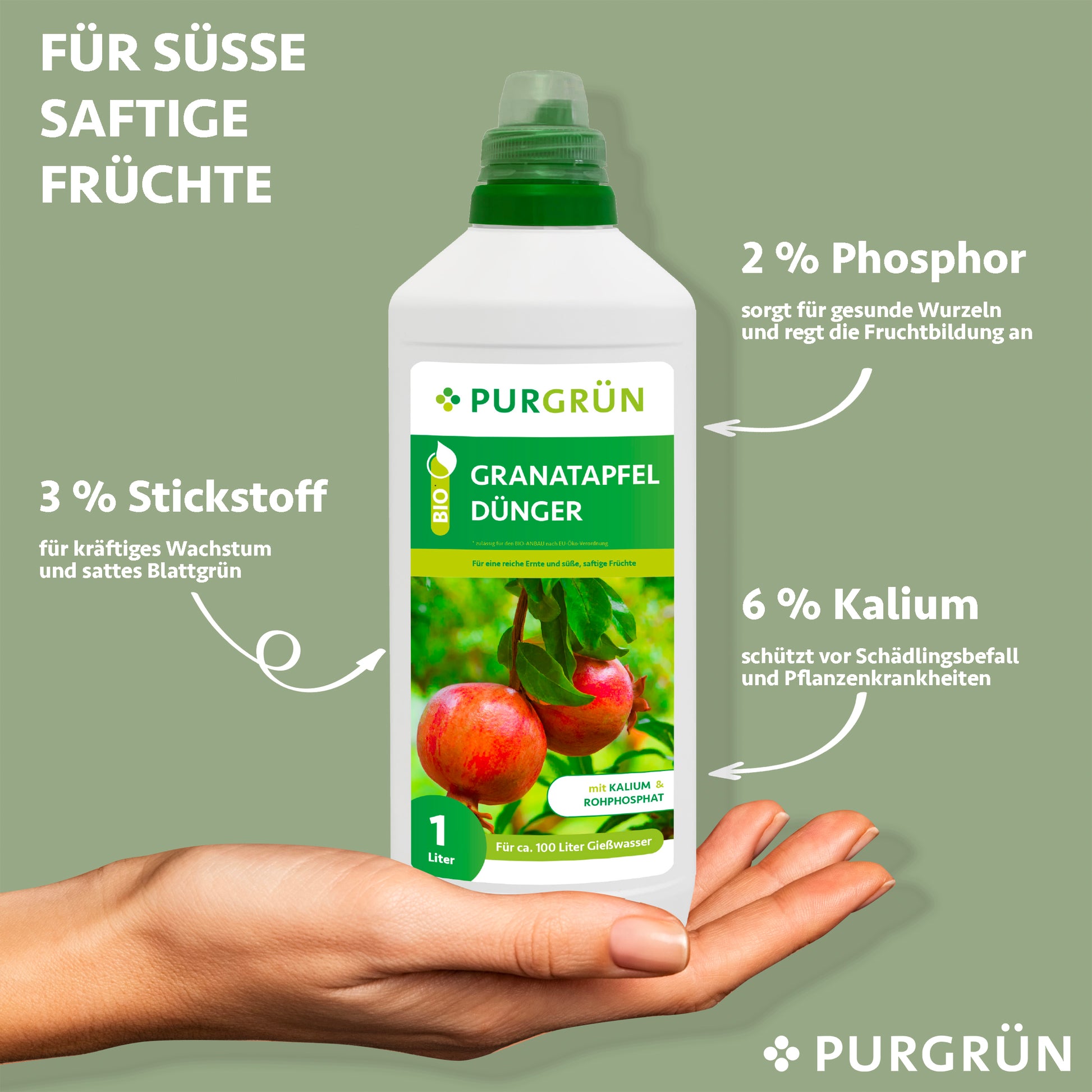 Eine Hand hält eine 1L Purgrün Bio-Granatapfel-Dünger-Flasche mit Granatapfelbildern. Das Etikett zeigt 3% Stickstoff, 2% Phosphor und 6% Kalium für gesunde Pflanzen - ideal für die Düngung von Granatapfelbäumen.