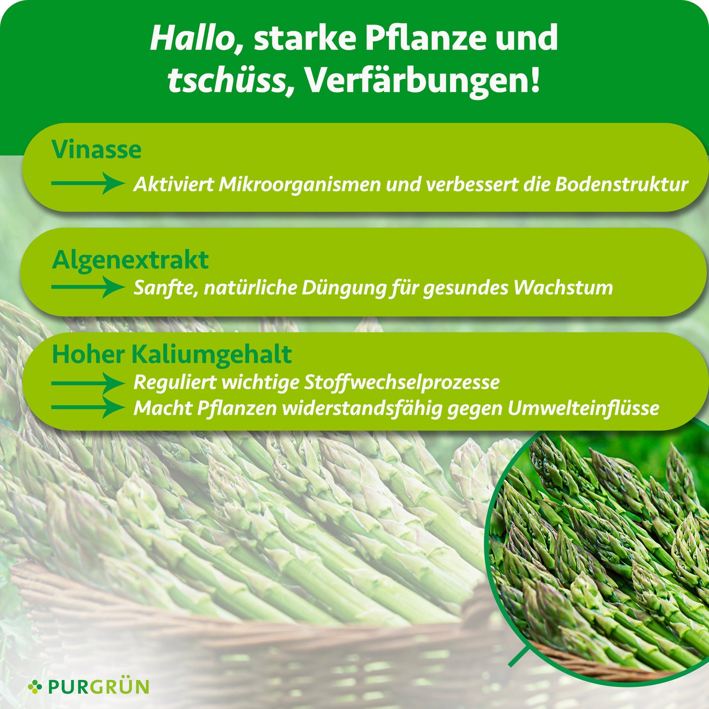 Bio-Grüner-Spargel-Dünger 1 Liter