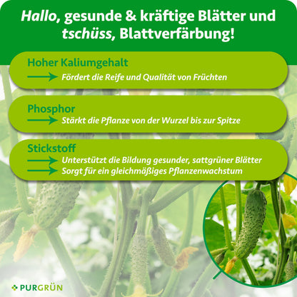 Bio-Gurkendünger 1 Liter
