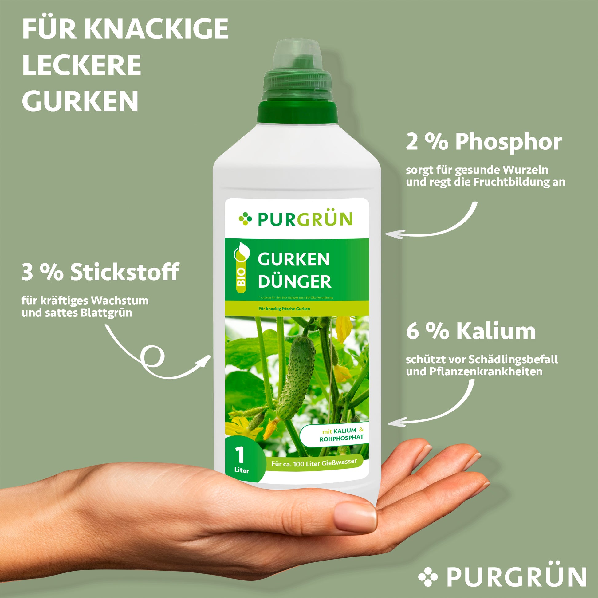 Eine Hand hält eine 1-Liter-Flasche Purgrün Bio-Gurkendünger. Auf dem Etikett, das Gurken zeigt, stehen 3% Stickstoff für das Wachstum, 2% Phosphor für die Wurzeln und 6% Kalium für gesunde Pflanzen.