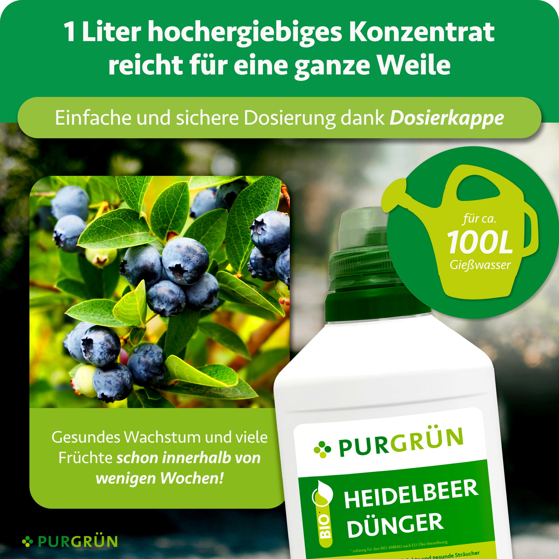 Purgrün Bio-Heidelbeerdünger 1 Liter