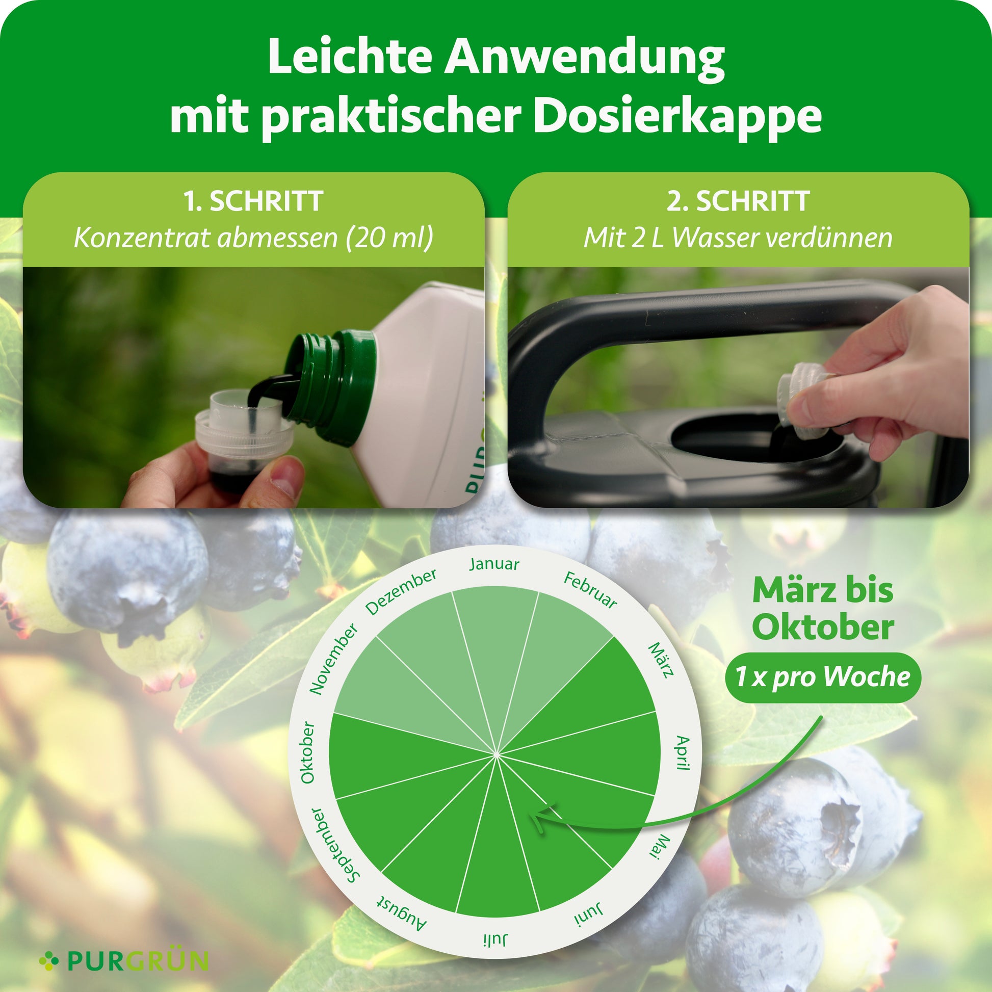 Purgrün Bio-Heidelbeerdünger 1 Liter