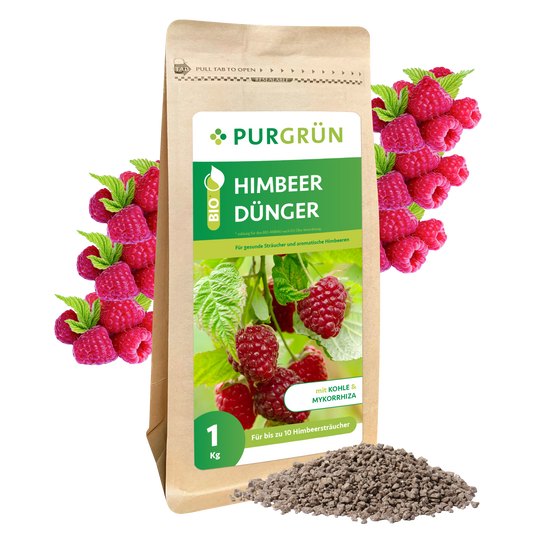 Der Purgrün Bio-Himbeerdünger 1 kg enthält Himbeerbilder und -granulat. Mit Pflanzenkohle und Mykorrhiza ist er ideal für bis zu 10 Sträucher und unterstützt ein gesundes organisches Wachstum.