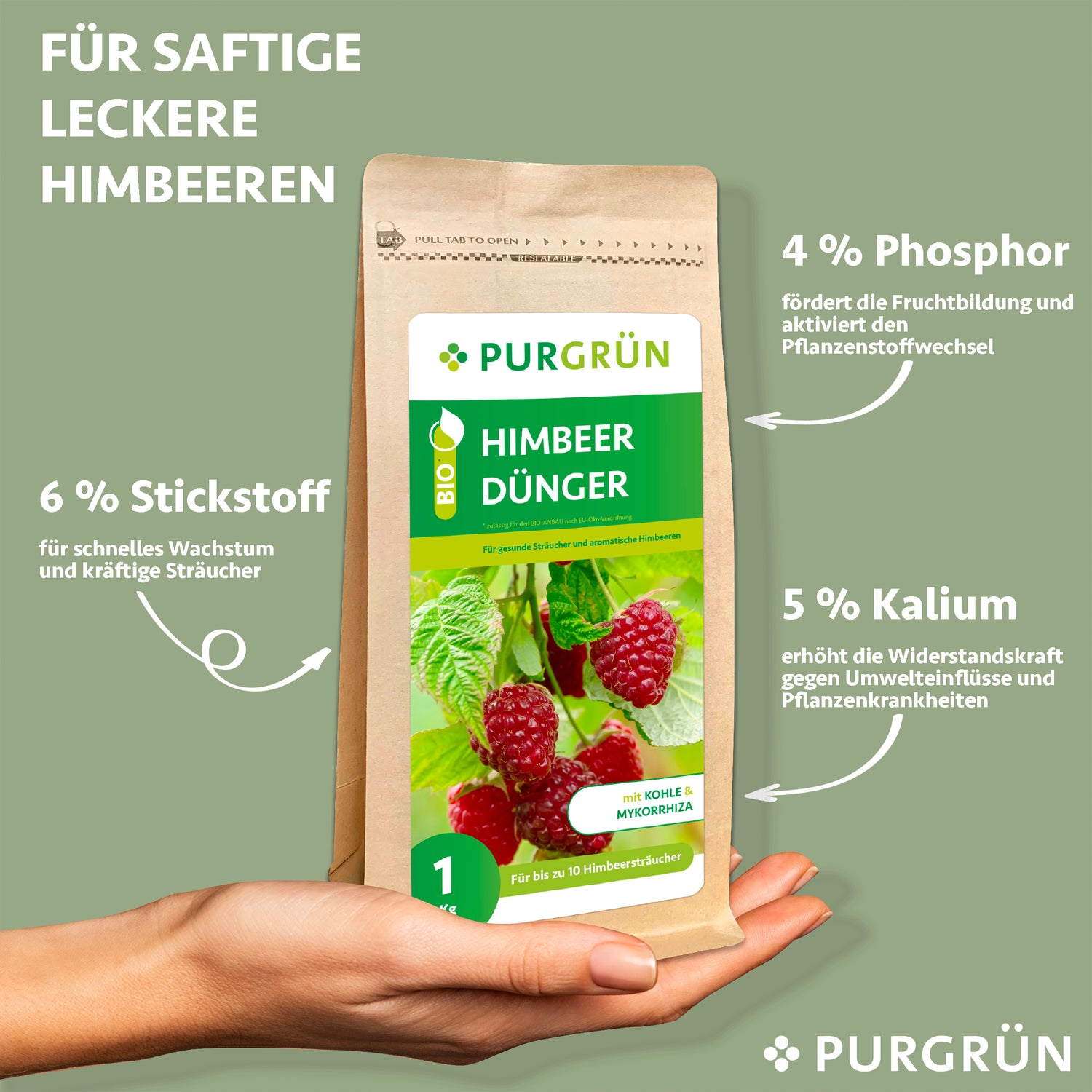 Eine Hand hält eine 1 kg-Packung Purgrün Bio-Himbeerdünger mit 6 % Stickstoff, 4 % Phosphor, 5 % Kalium sowie Mykorrhiza für die Widerstandsfähigkeit und Fruchtbildung der Pflanzen. Auf dem Etikett sind Himbeeren abgebildet.