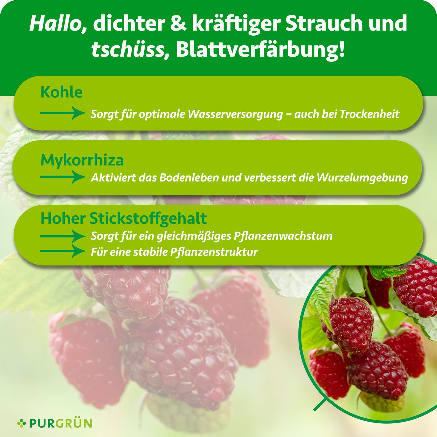 Bio-Himbeerdünger 1 kg