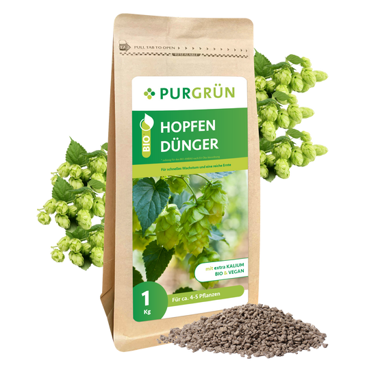 Eine 1 kg schwere braune Papiertüte mit Purgrün Bio-Hopfen-Dünger zeigt Bilder von Hopfenpflanzen und grüne Etiketten, davor einen Haufen Granulatdünger und im Hintergrund frische Hopfendolden.