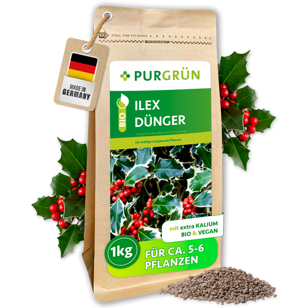 Purgrün Ilex-Dünger 1 kg