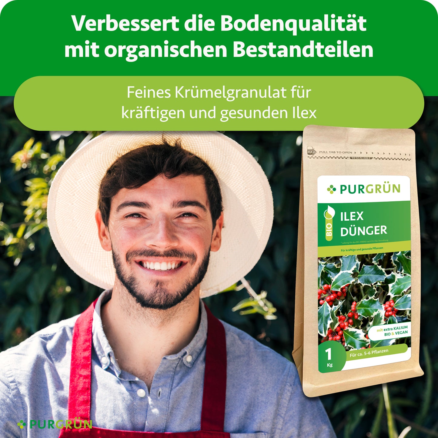 Purgrün Ilex-Dünger 1 kg