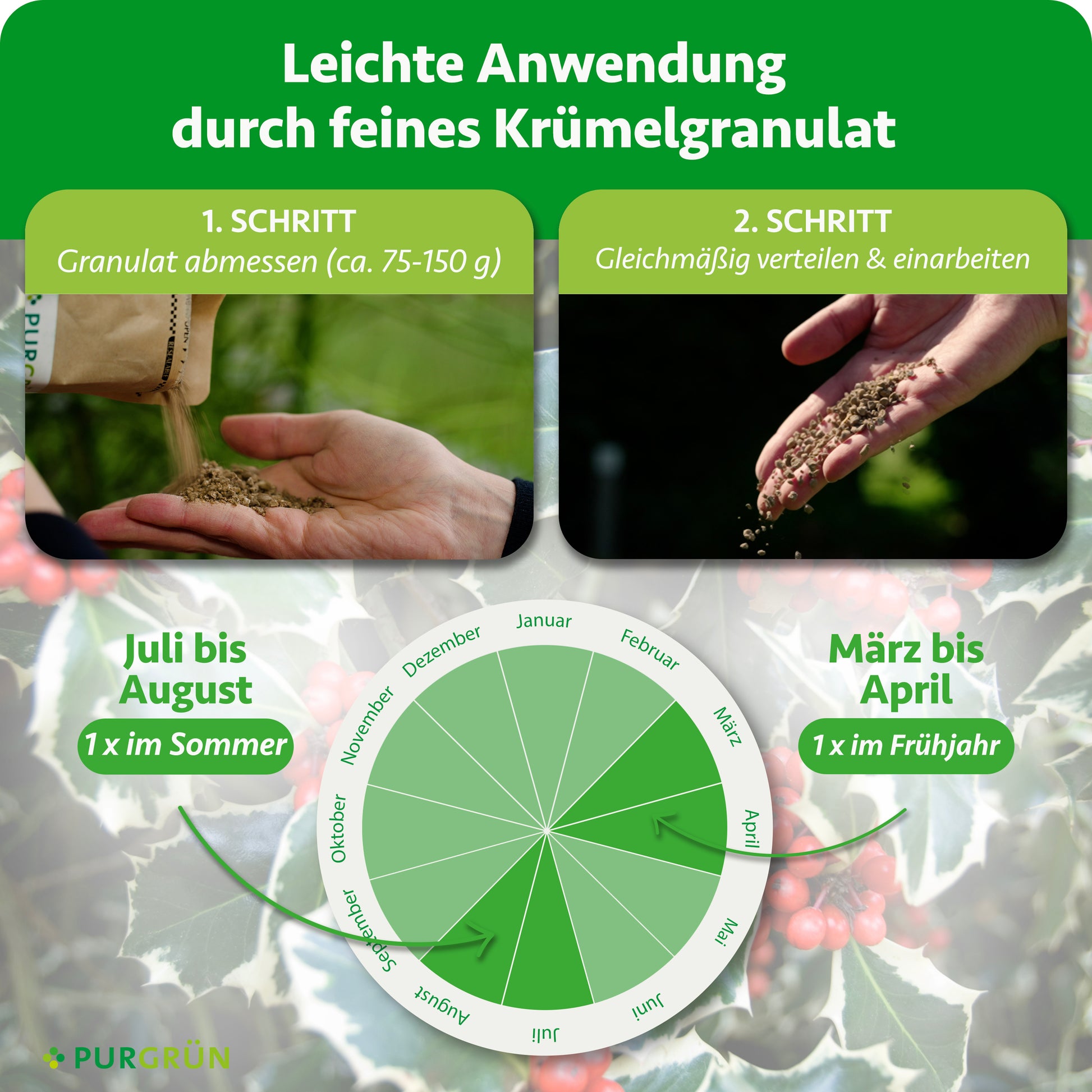 Purgrün Ilex-Dünger 1 kg