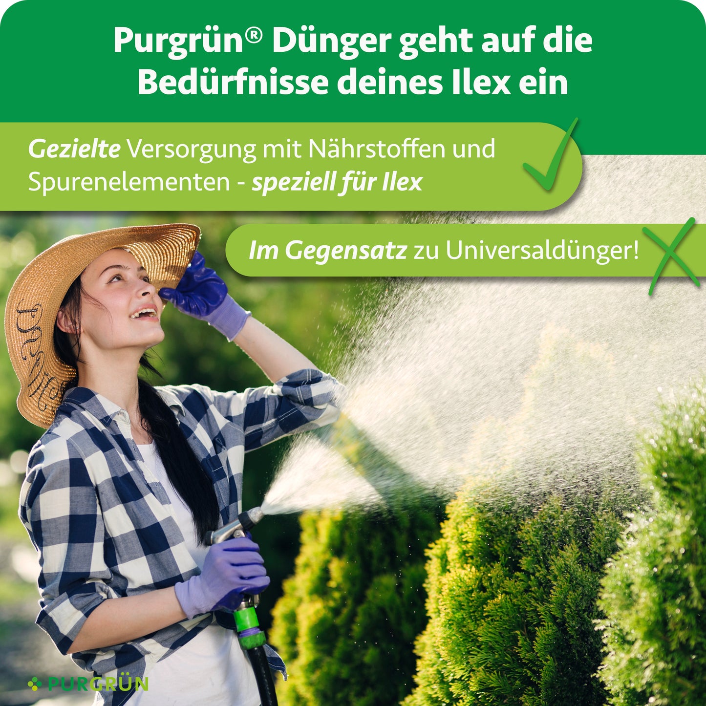 Purgrün Ilex-Dünger 1 kg