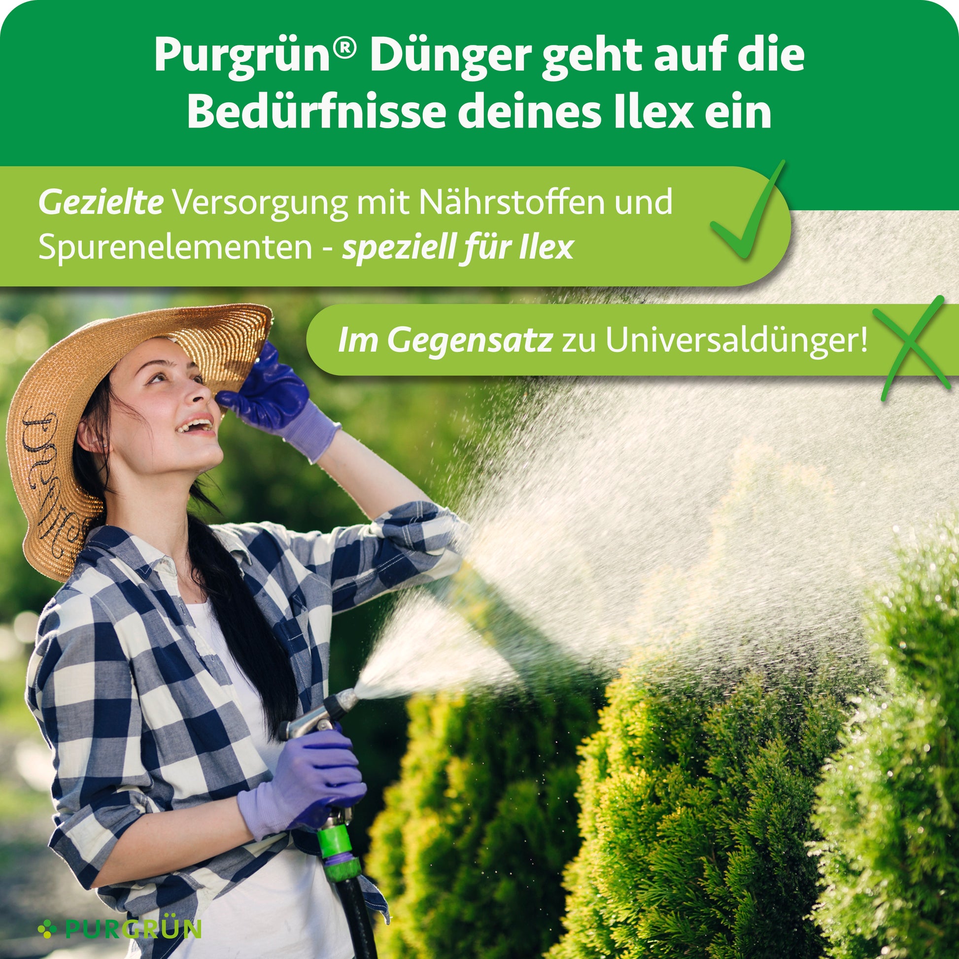 Purgrün Ilex-Dünger 1 kg