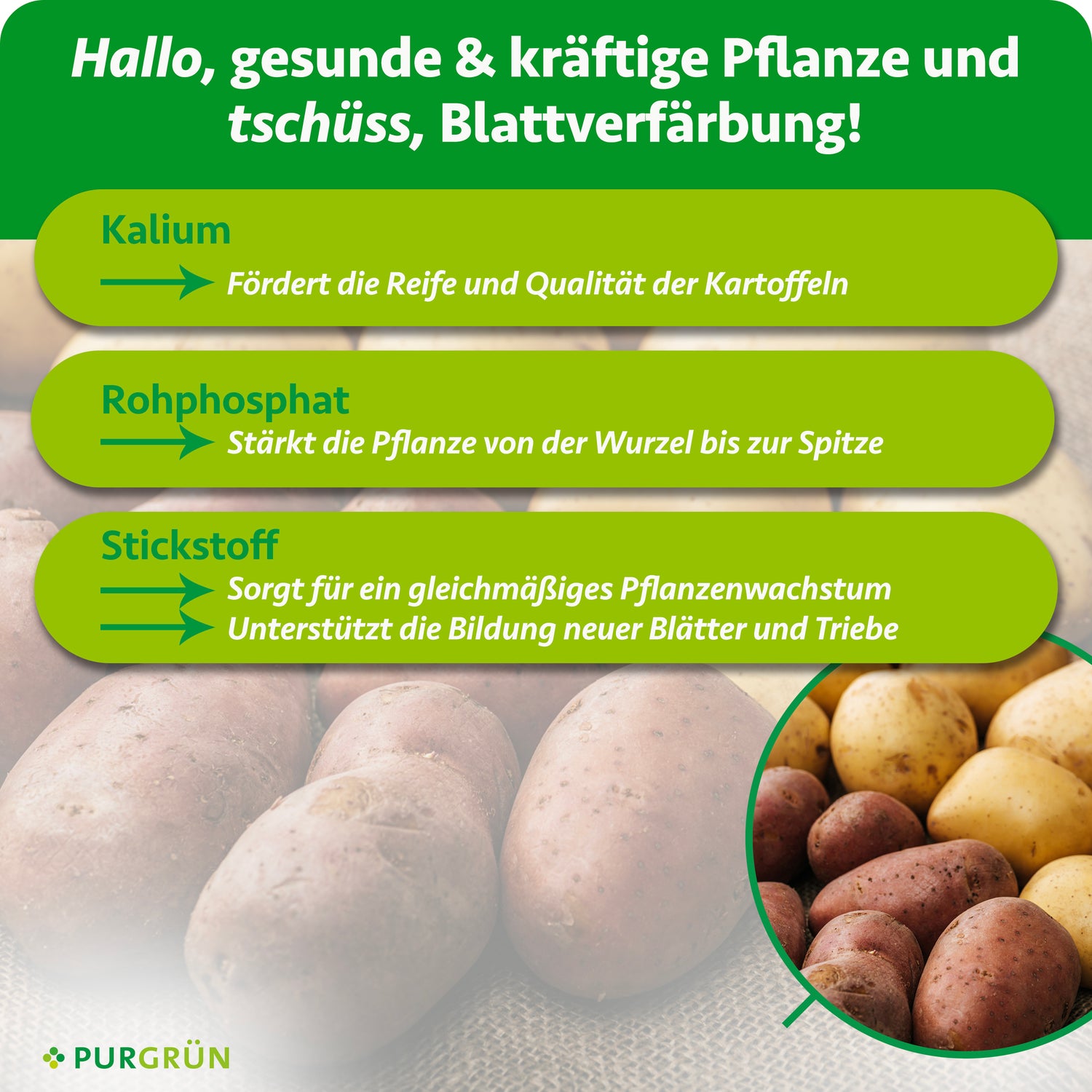 npk dünger kartoffeln Purgrün Bio-Kartoffeldünger 1 Liter