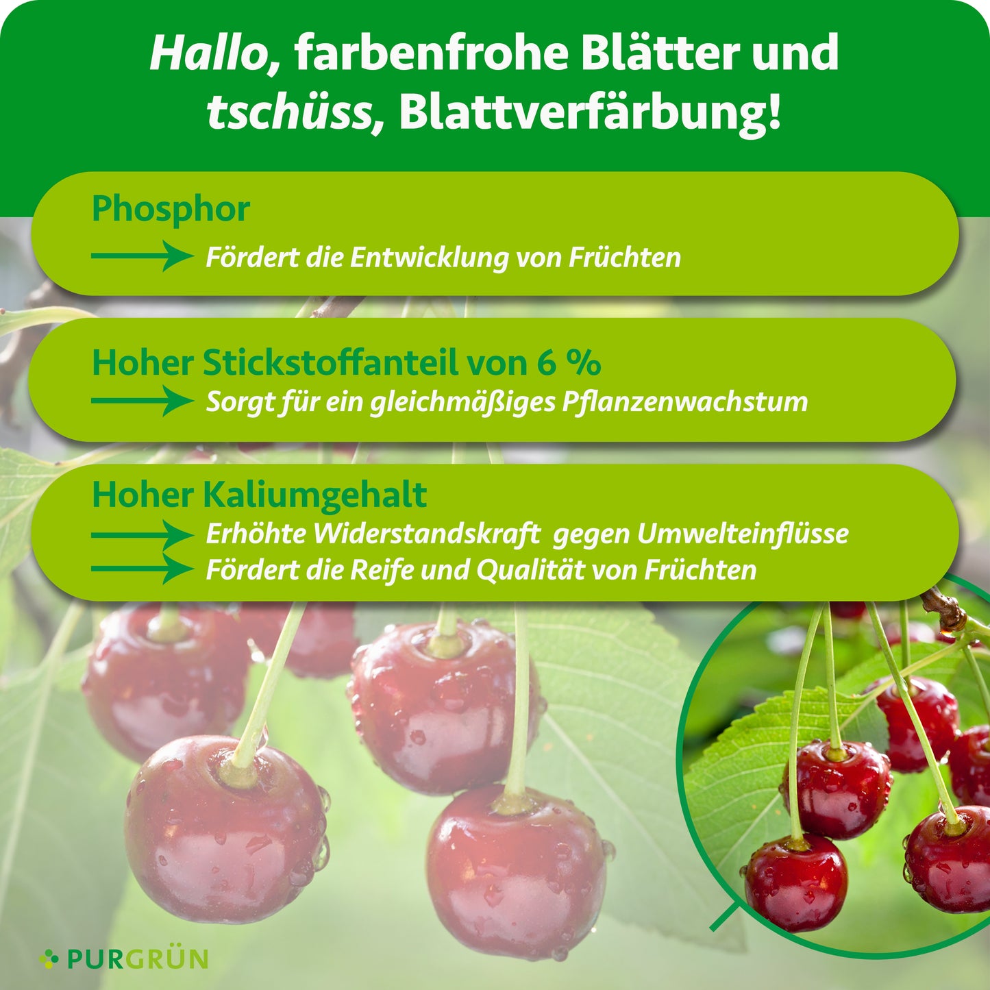 Bio-Kirschbaum-Dünger 1 kg