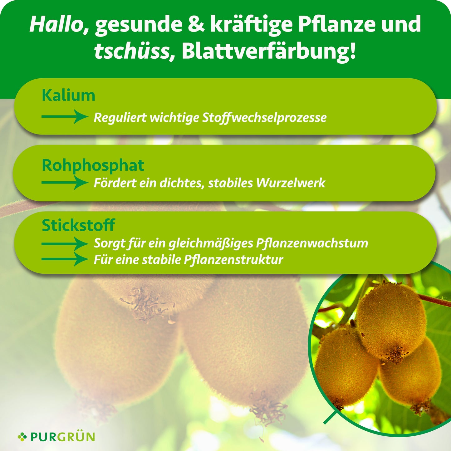 Bio-Kiwi-Dünger 1 Liter