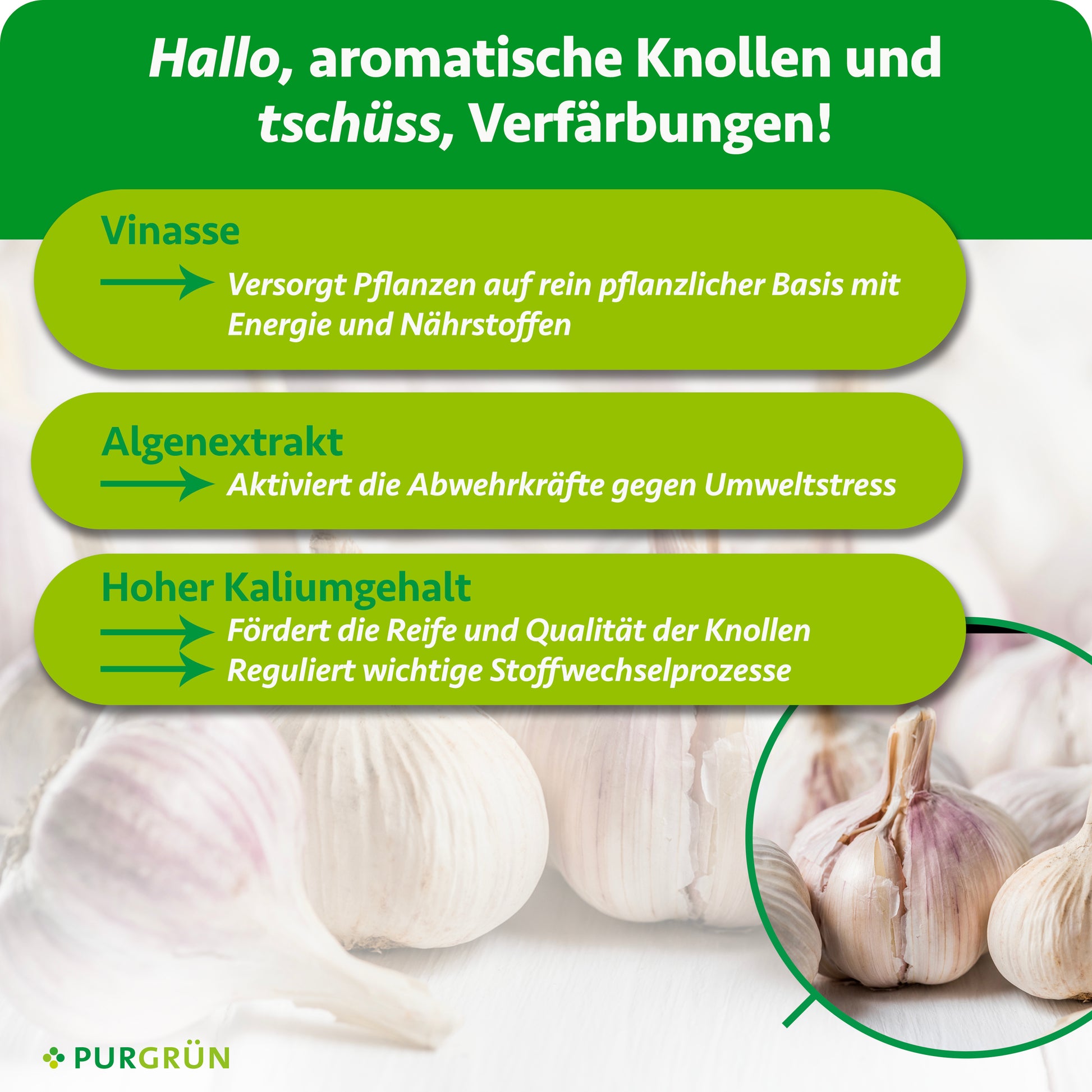 Purgrün Bio-Knoblauchdünger 1 Liter