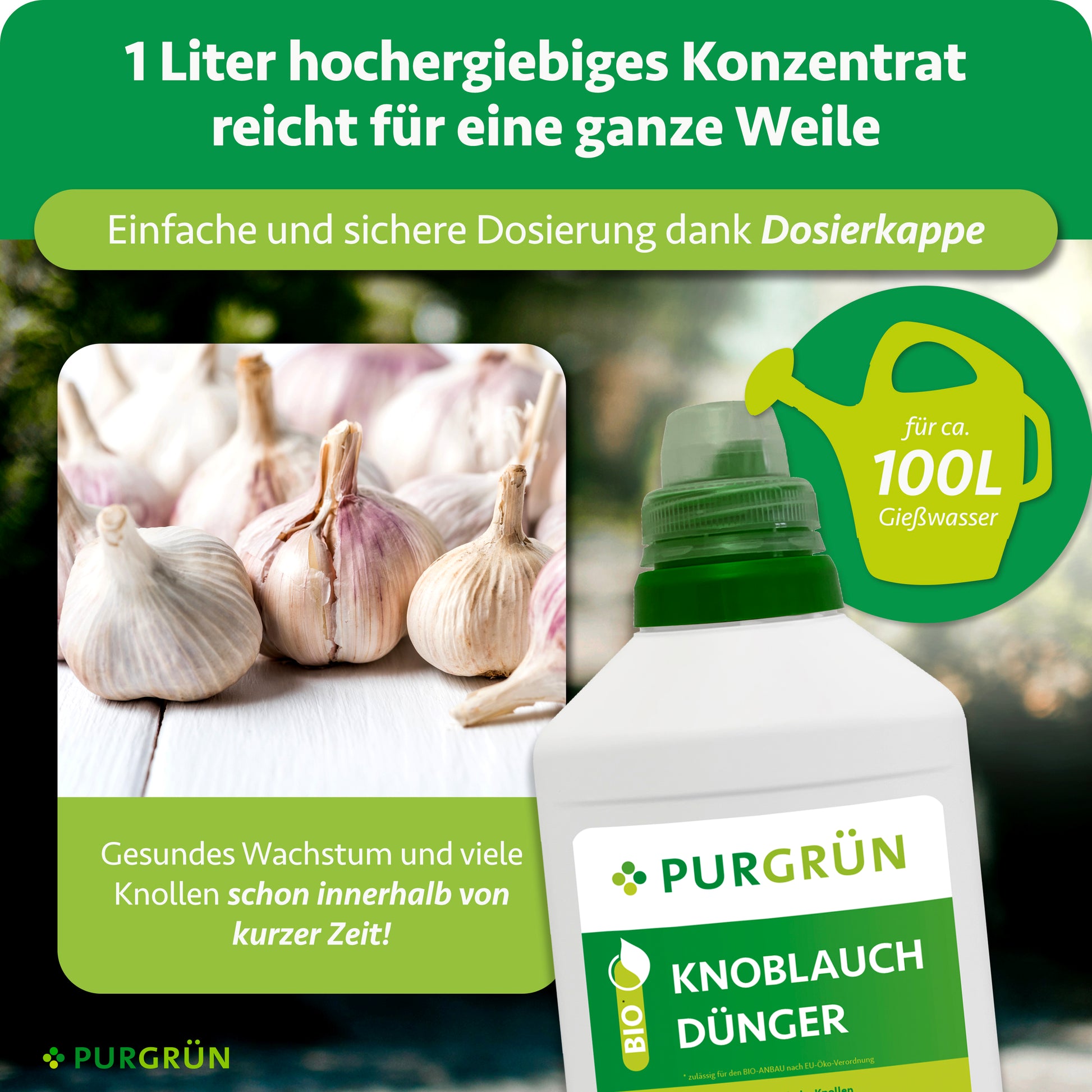 knoblauch als dünger für zimmerpflanzen Purgrün Bio-Knoblauchdünger 1 Liter