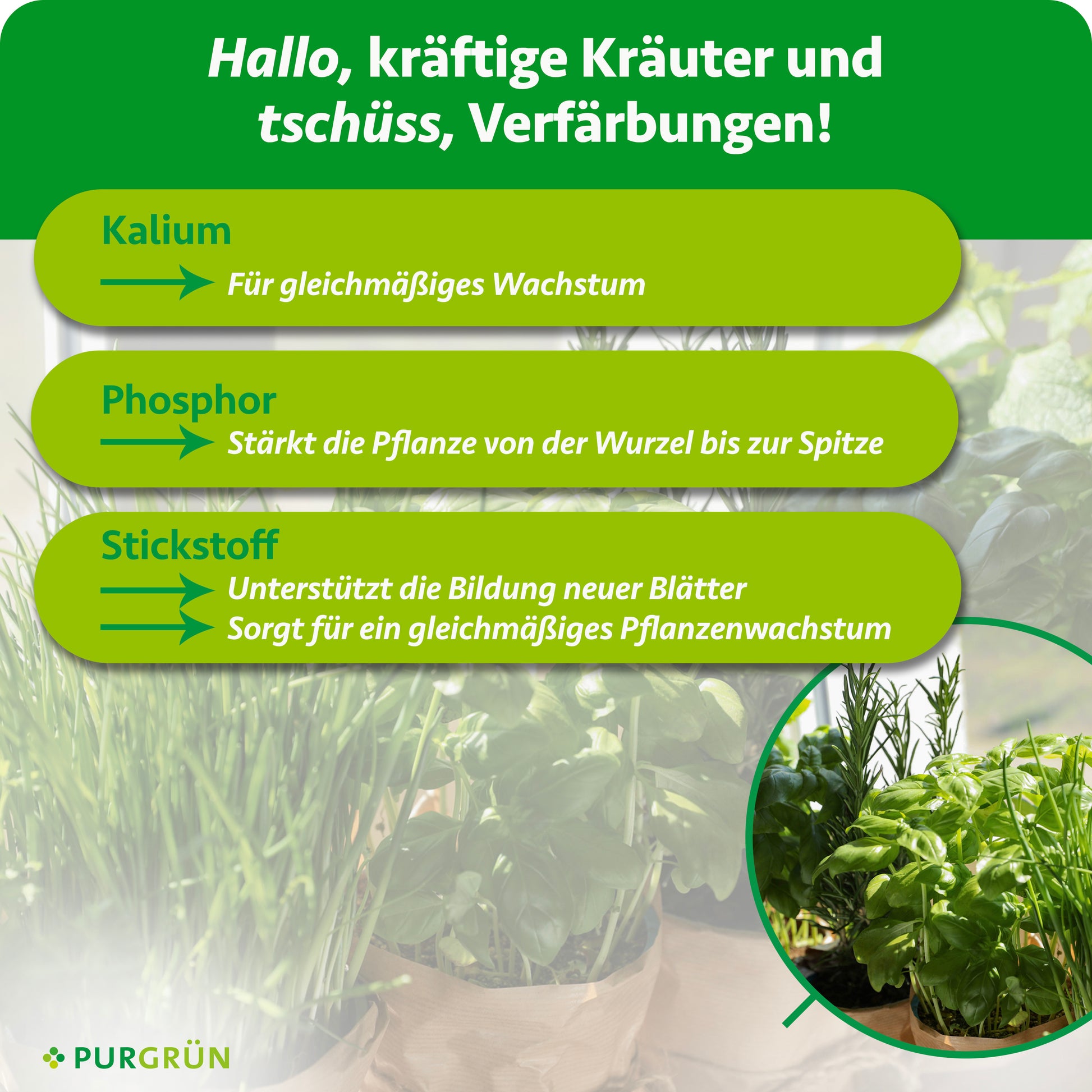 Purgrün Bio-Kräuterdünger 1 Liter