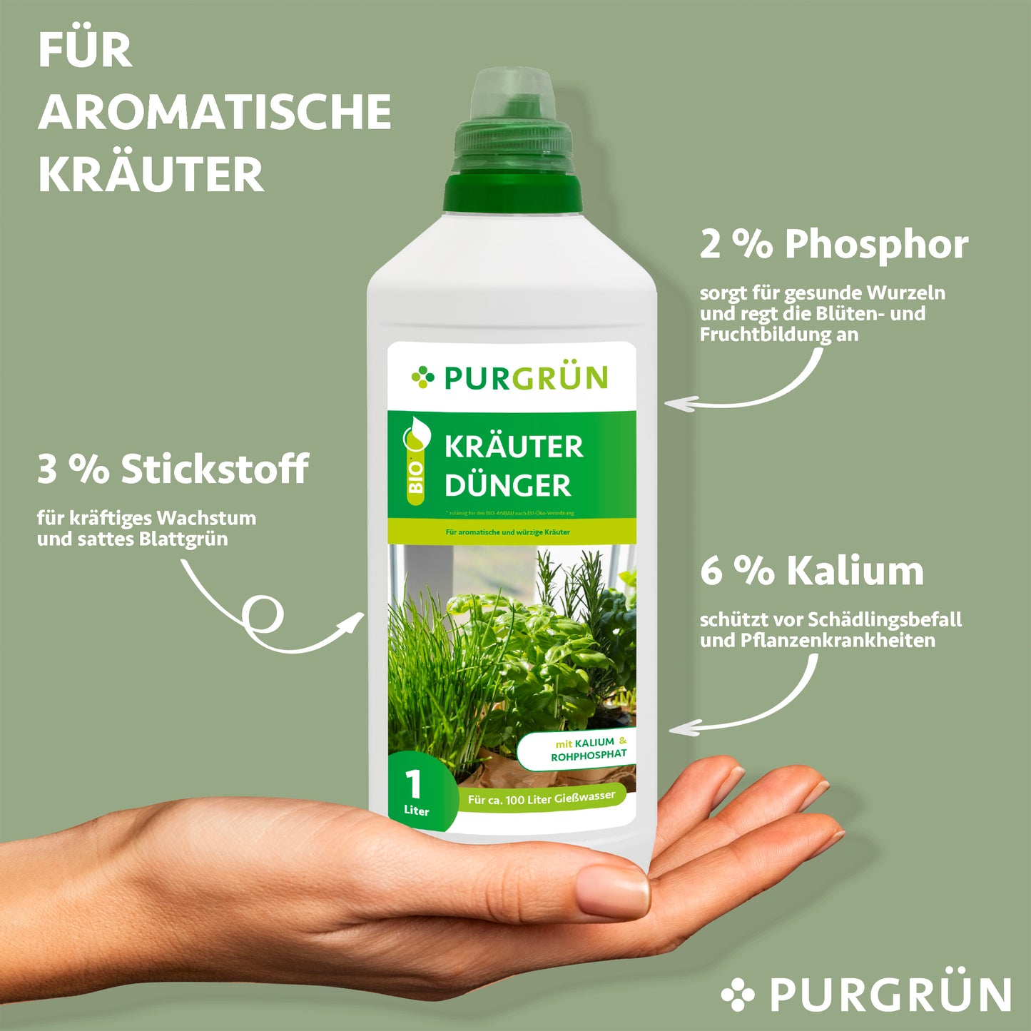 Eine Hand hält eine 1L-Flasche Purgrün Bio-Kräuterdünger. Der Text hebt 3% Stickstoff für die Blätter, 2% Phosphor für die Wurzeln/Blüten und 6% Kalium für die Schädlingsabwehr hervor - ideal zum Düngen von Küchenkräutern. Grüner Hintergrund.
