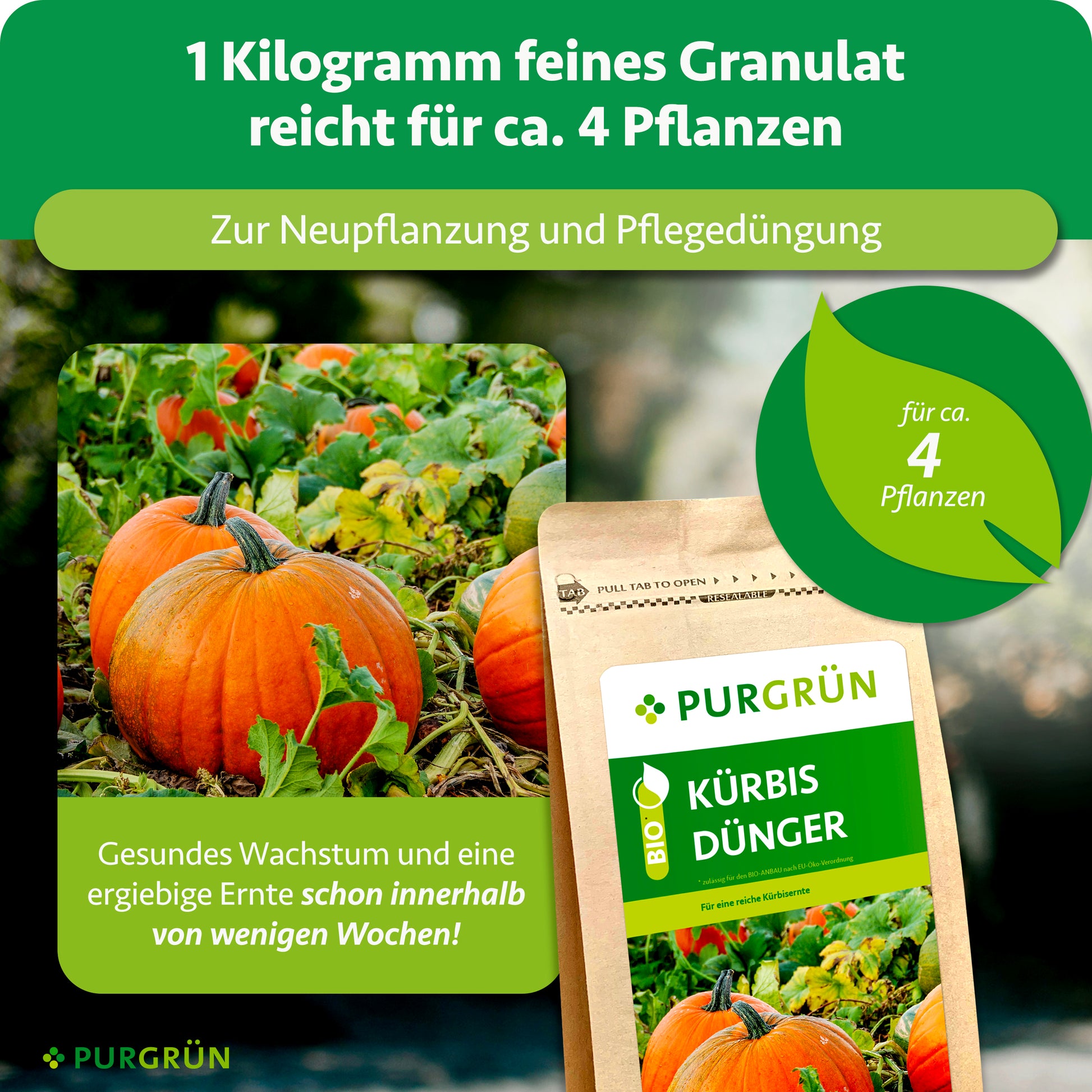 Purgrün Bio-Kürbis-Dünger 1 kg