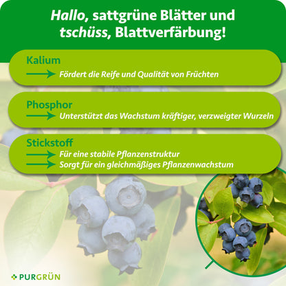 Bio-Kulturheidelbeeren-Dünger 1 Liter