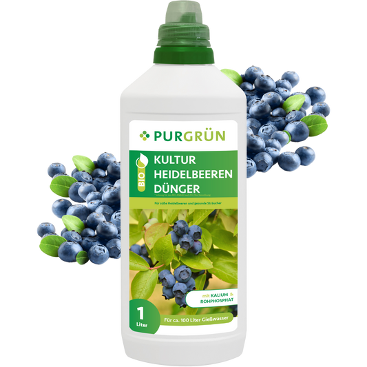 Eine 1-Liter-Flasche Purgrün Bio-Kulturheidelbeeren-Dünger mit grünem Verschluss steht inmitten von frischen Heidelbeeren und Blättern. Auf dem Etikett sind Blaubeeren, grüne Akzente und ein deutscher Text zu sehen, der für die Verwendung als Dünger für Kulturheidelbeeren wirbt.