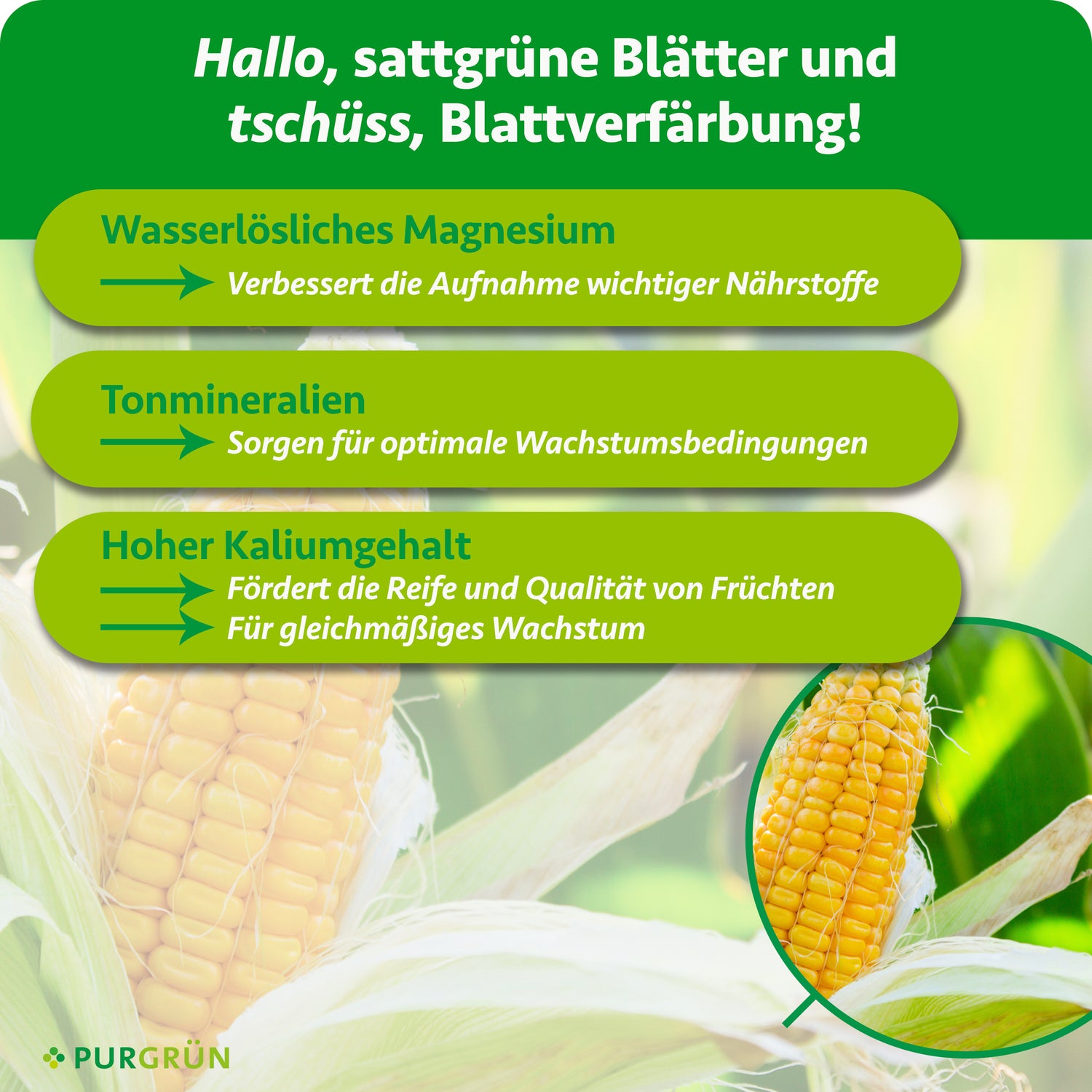 Purgrün Bio-Mais-Dünger 1 kg