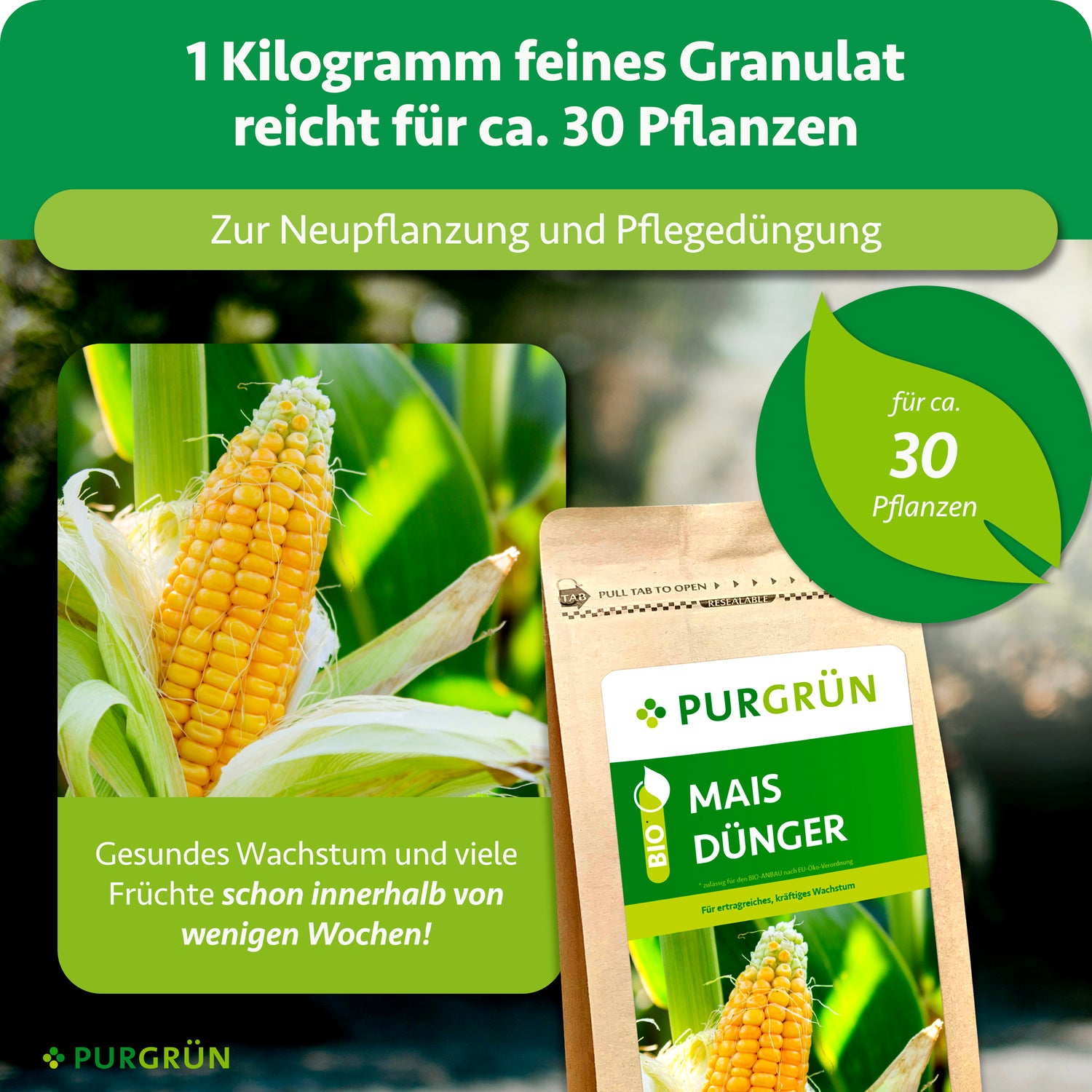 mais hacken und düngen Purgrün Bio-Mais-Dünger 1 kg