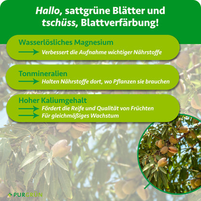Bio-Mandelbaum-Dünger 1 kg