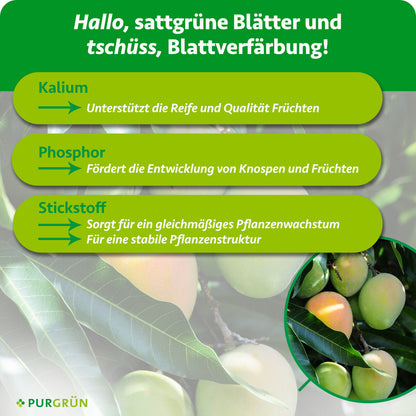 Bio-Mango-Dünger 1 Liter