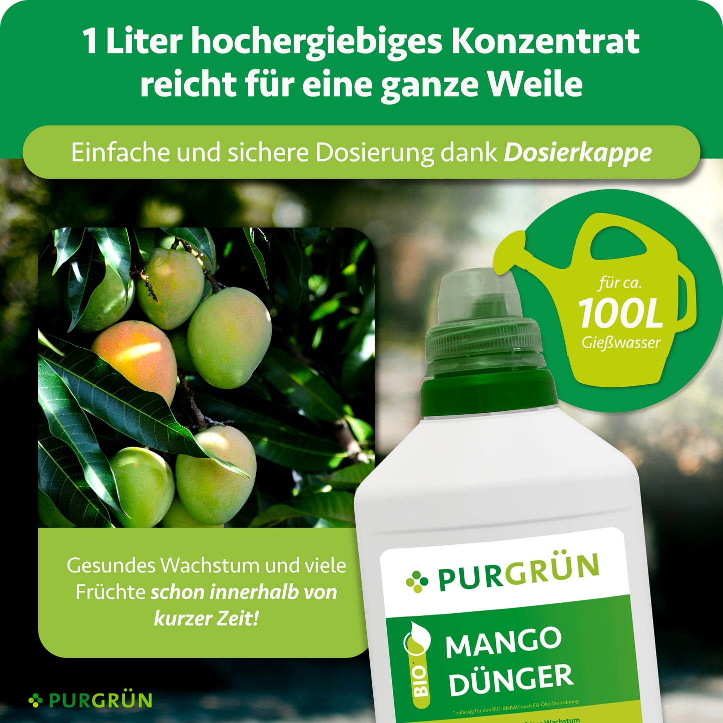 Bio-Mango-Dünger 1 Liter
