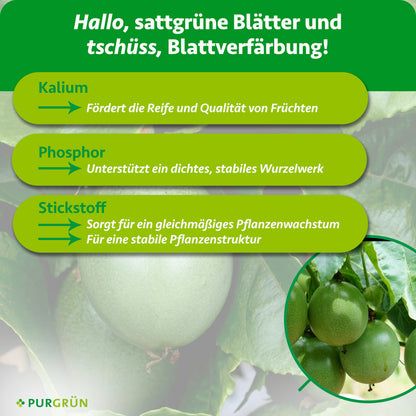 Purgrün Bio-Maracuja-Dünger 1 Liter