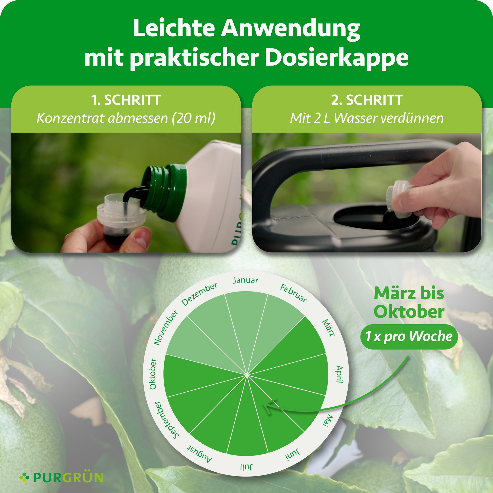 Purgrün Bio-Maracuja-Dünger 1 Liter