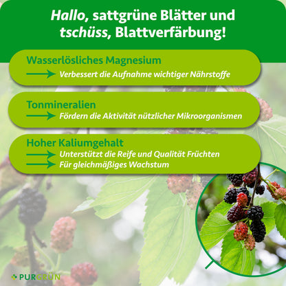 Bio-Maulbeerbaum-Dünger 1 kg