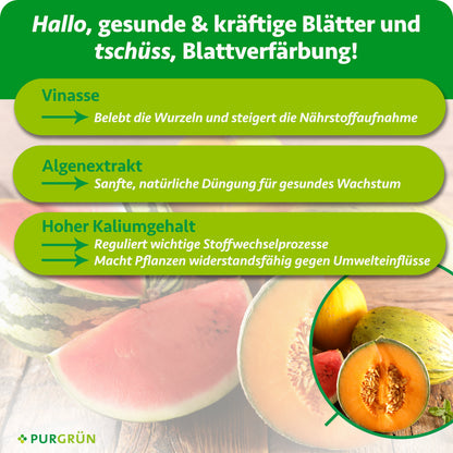 Bio-Melonen-Dünger 1 Liter