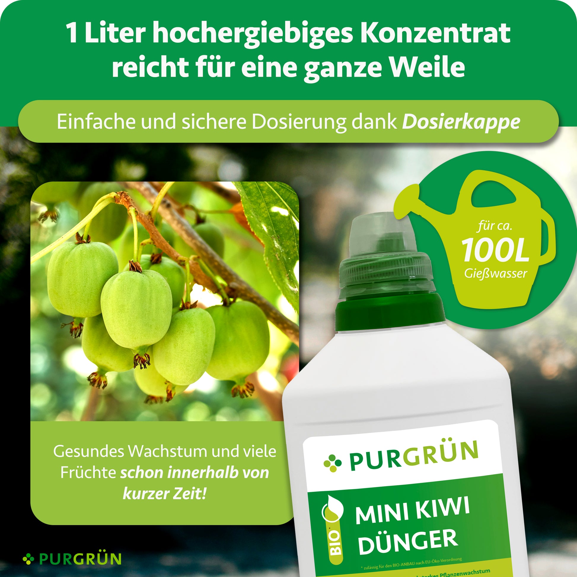 kiwibeeren düngen Purgrün Bio-Mini-Kiwi-Dünger 1 Liter