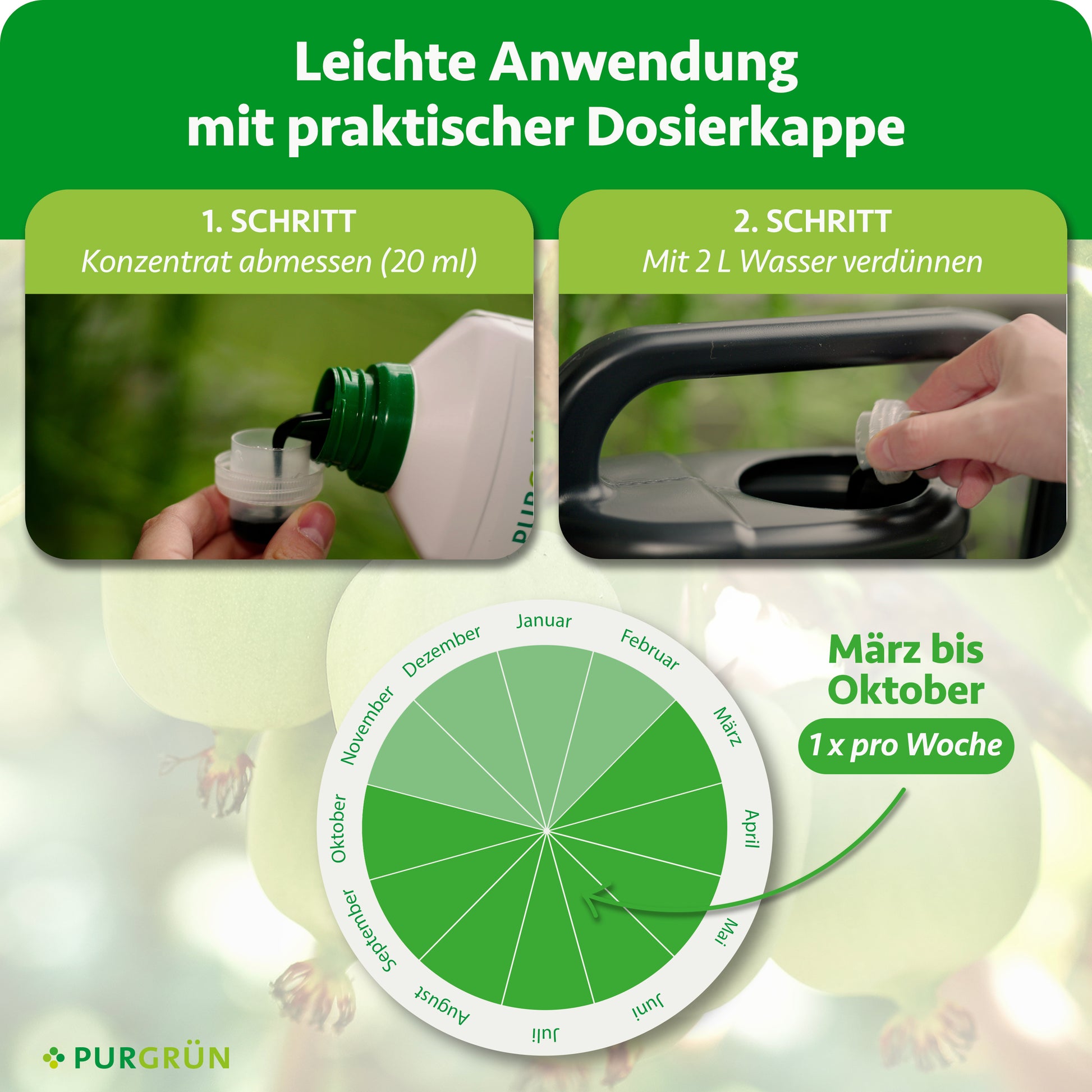 Purgrün Bio-Mini-Kiwi-Dünger 1 Liter