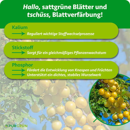 Bio-Mirabellenbaum-Dünger 1 kg