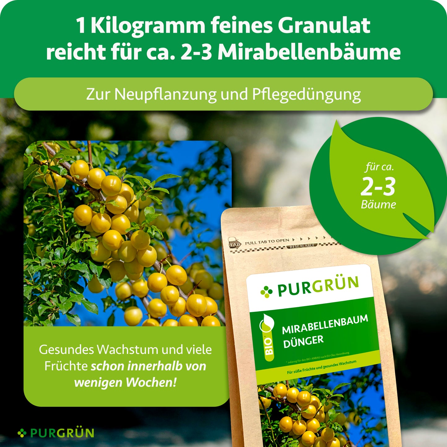 Bio-Mirabellenbaum-Dünger 1 kg