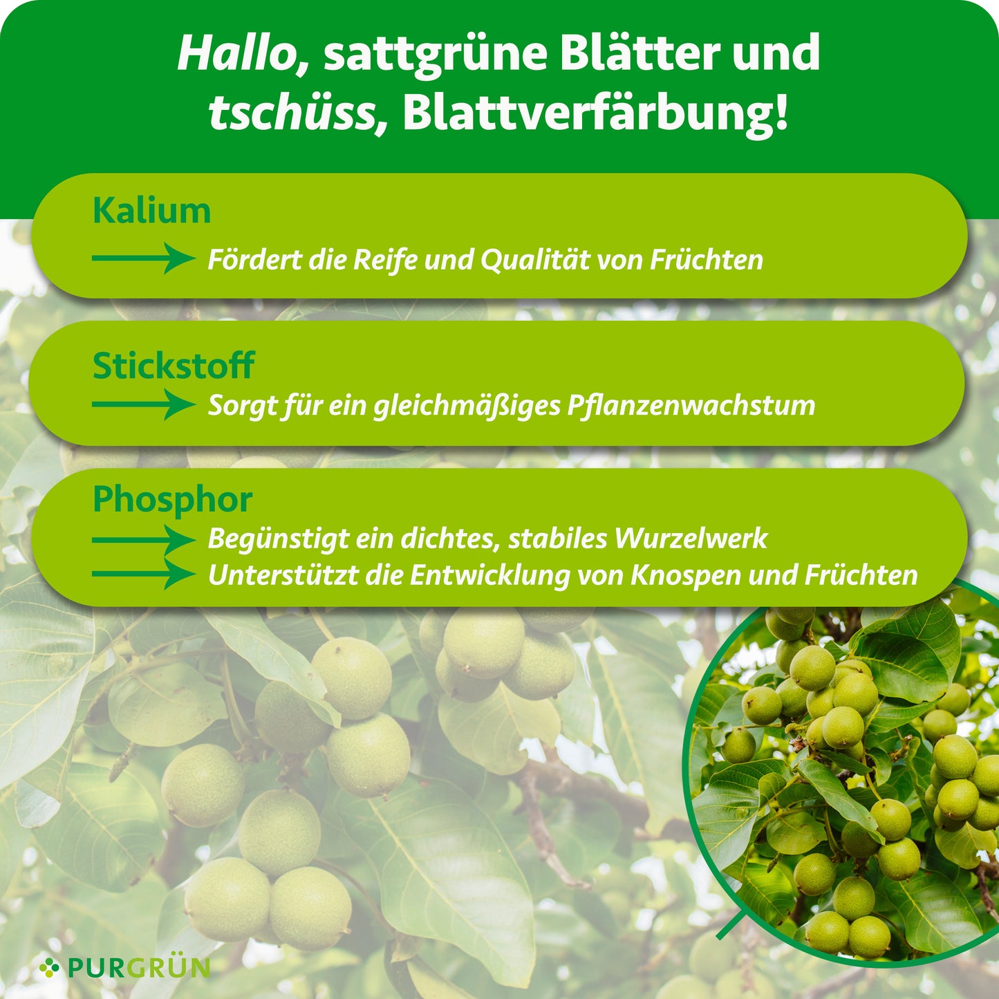Bio-Nussbaum-Dünger 1 kg