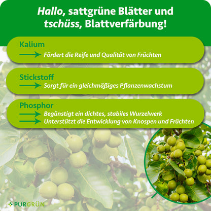 Bio-Nussbaum-Dünger 1 kg