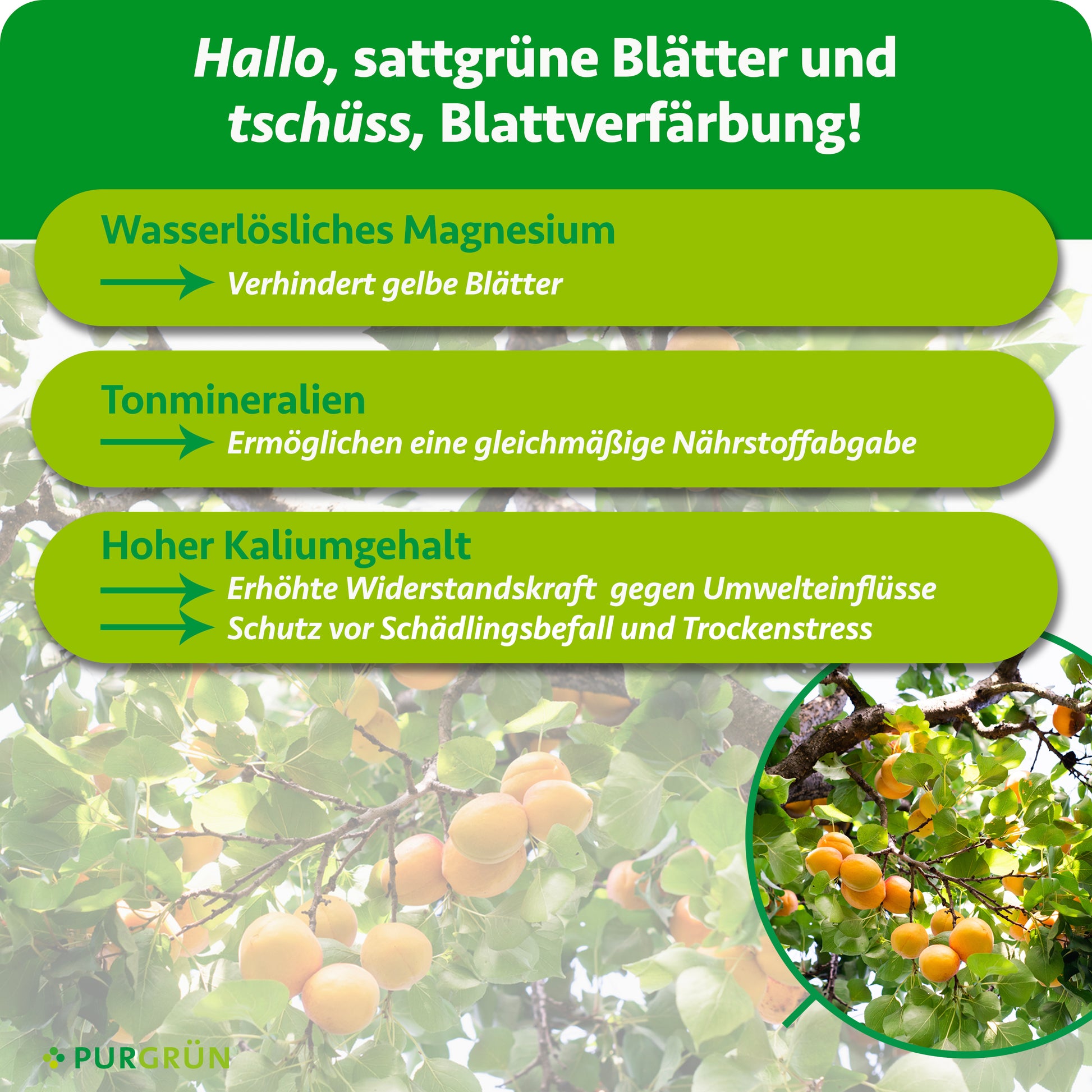 Purgrün Bio-Obstbaum-Dünger 1 kg