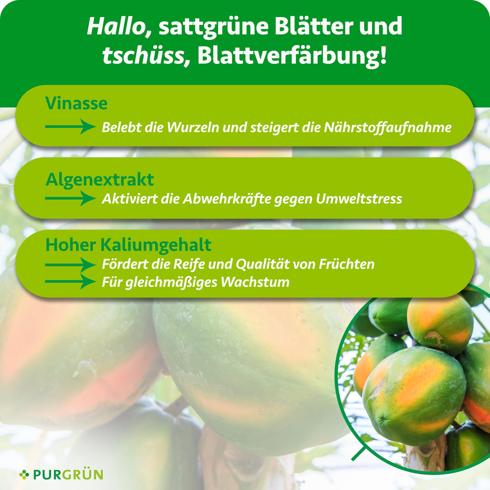 Purgrn Bio-Papaya-Dnger 1 Liter