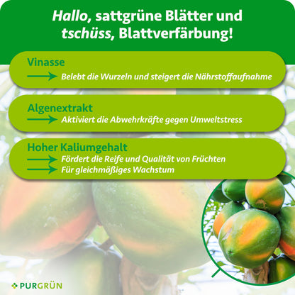 Bio-Papaya-Dünger 1 Liter