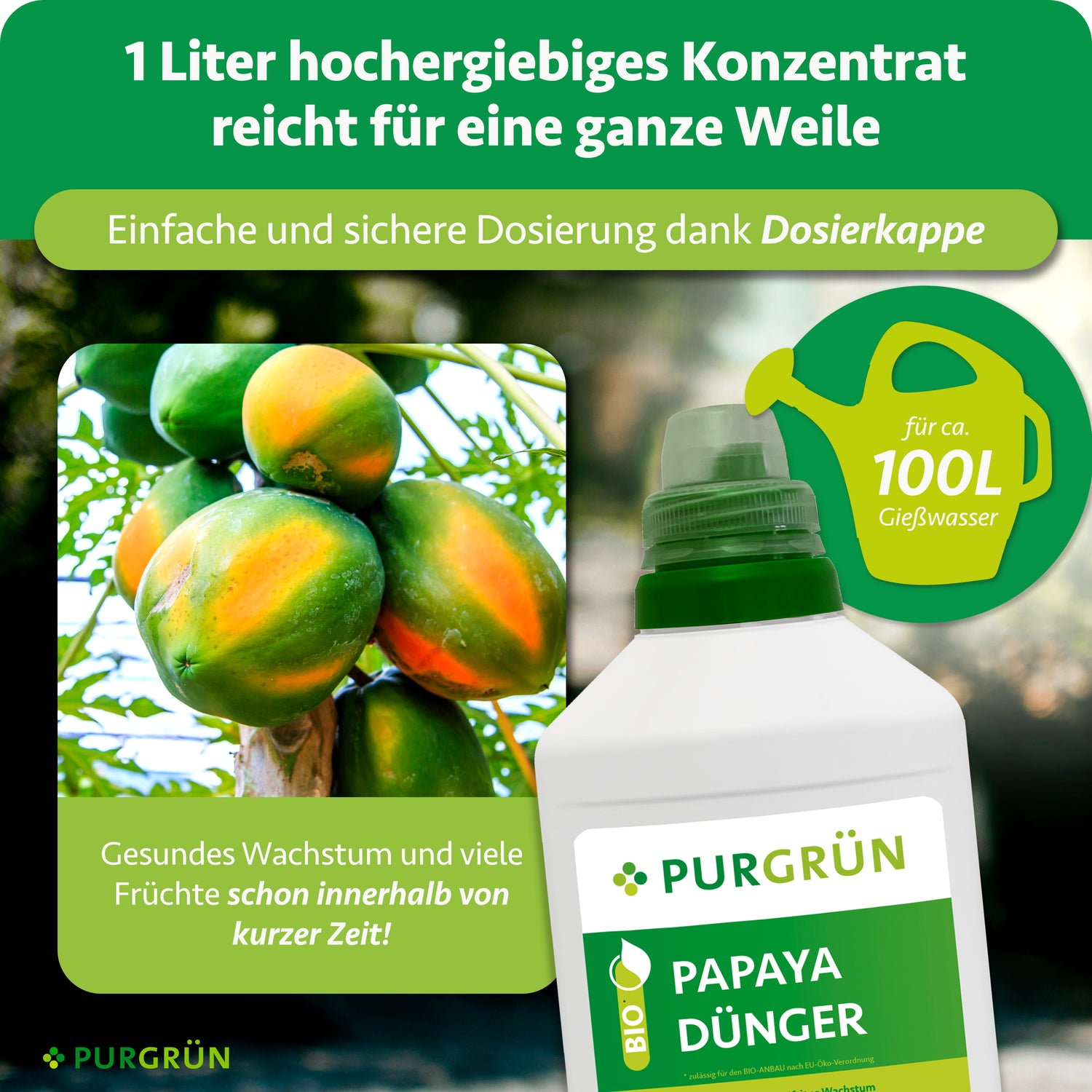 weinreben düngen im herbst ProviPlant Weinreben-Dünger: Für alle Weinrebengewächse (Vitaceae)