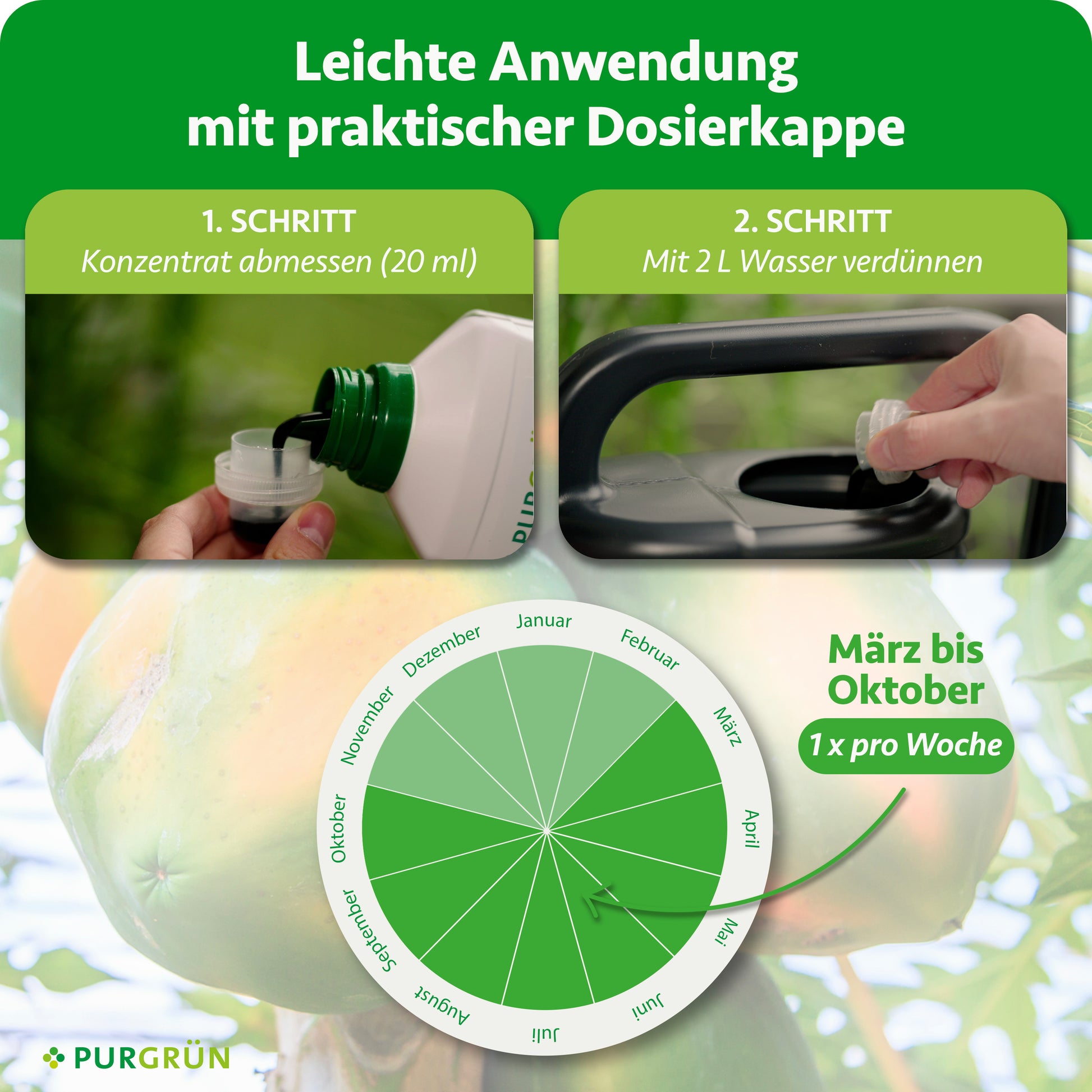 welcher dünger für papaya Purgrün Bio-Papaya-Dünger 1 Liter