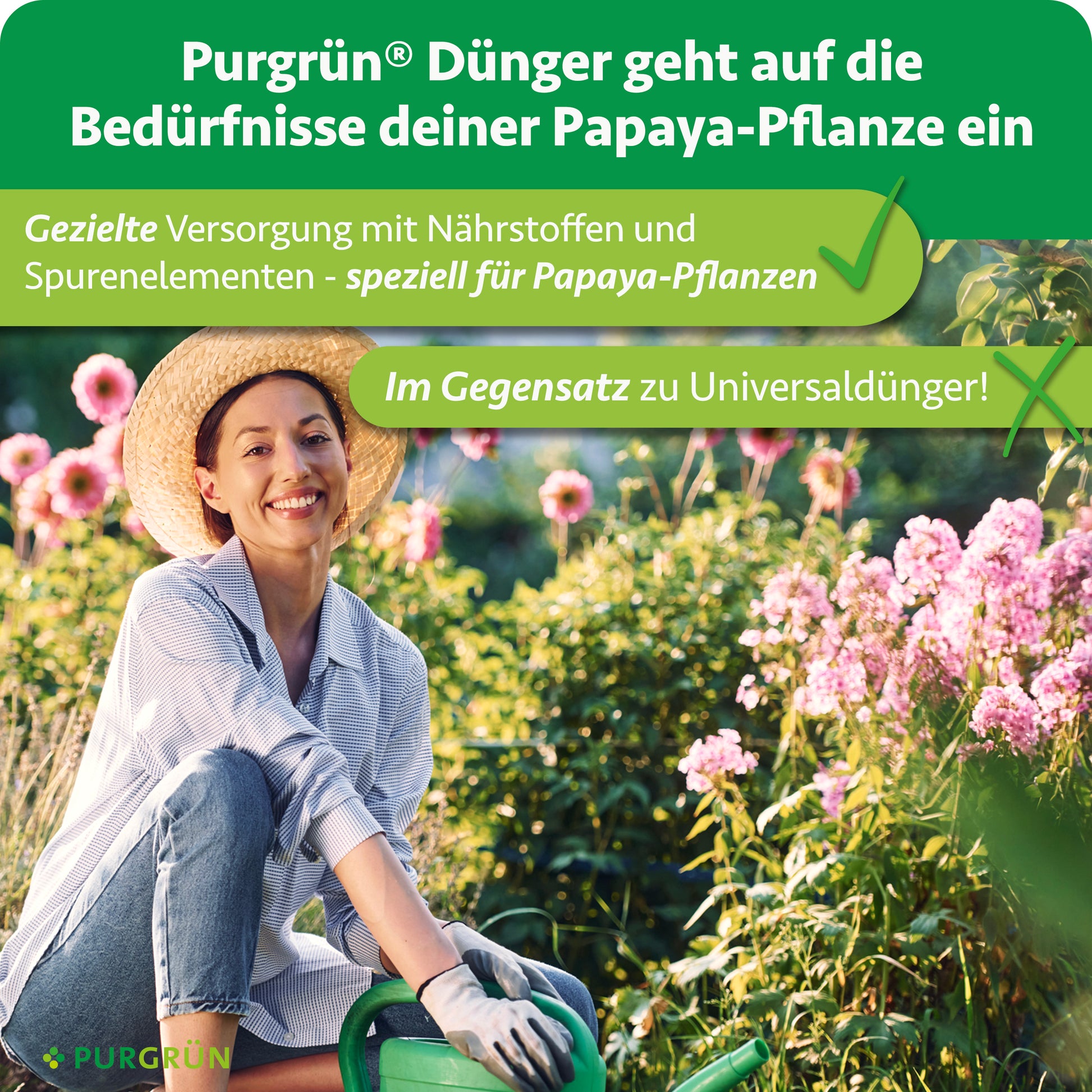 papaya düngen Purgrün Bio-Papaya-Dünger 1 Liter