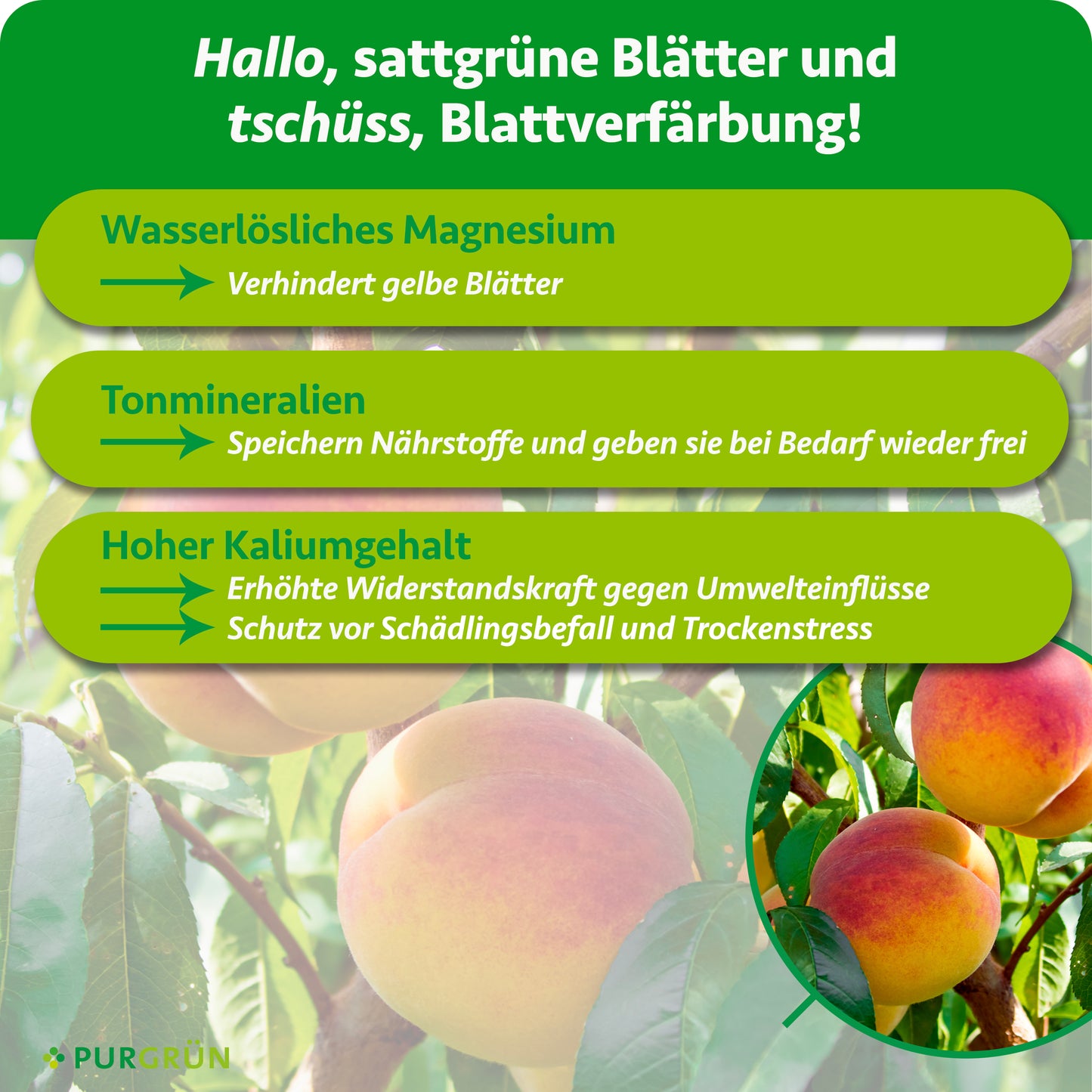 Bio-Pfirsichbaum-Dünger 1 kg