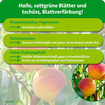 Bio-Pfirsichbaum-Dünger 1 kg