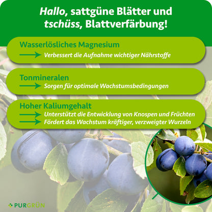 Purgrn Bio-Pflaumenbaum-Dnger 1 kg