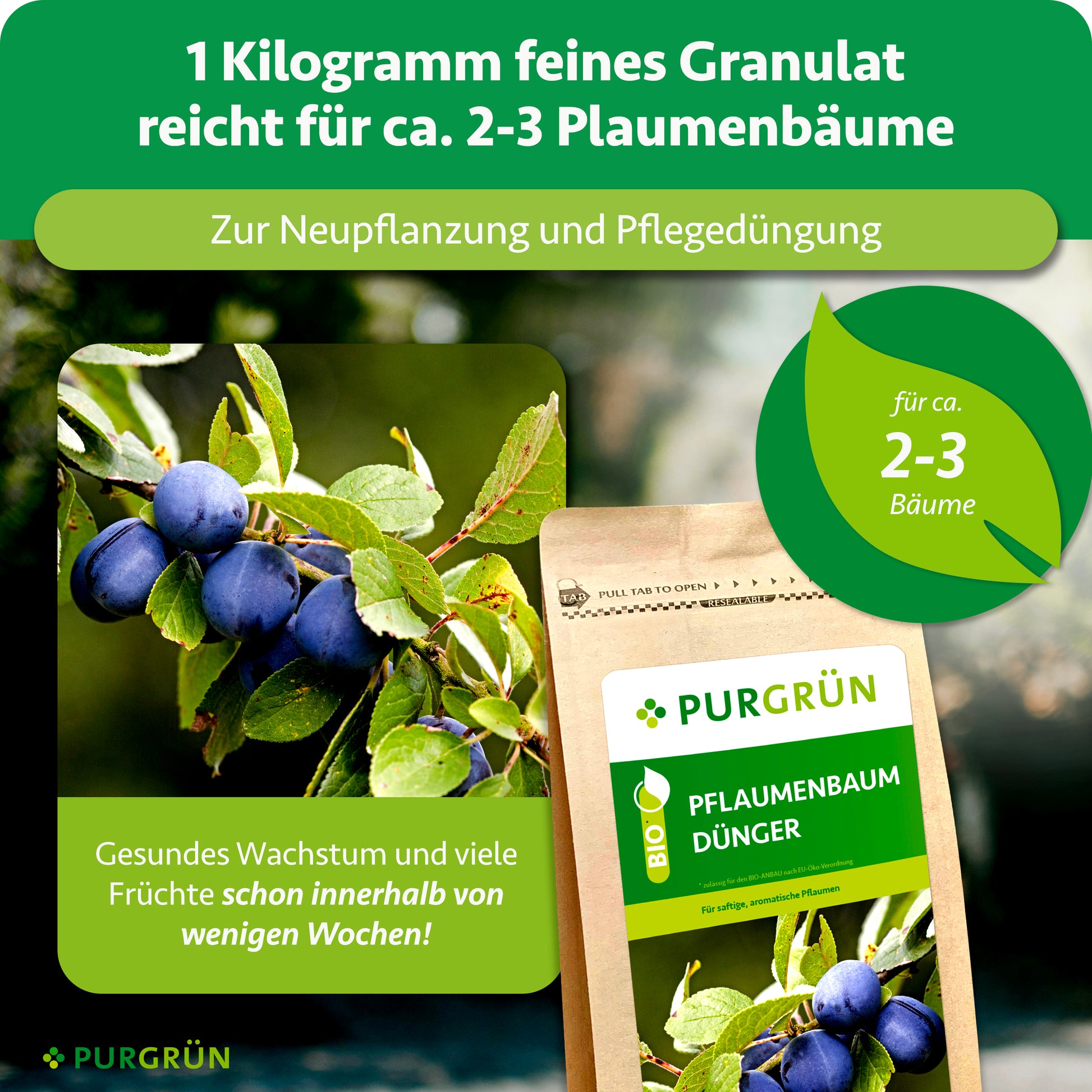 Purgrün Bio-Pflaumenbaum-Dünger 1 kg